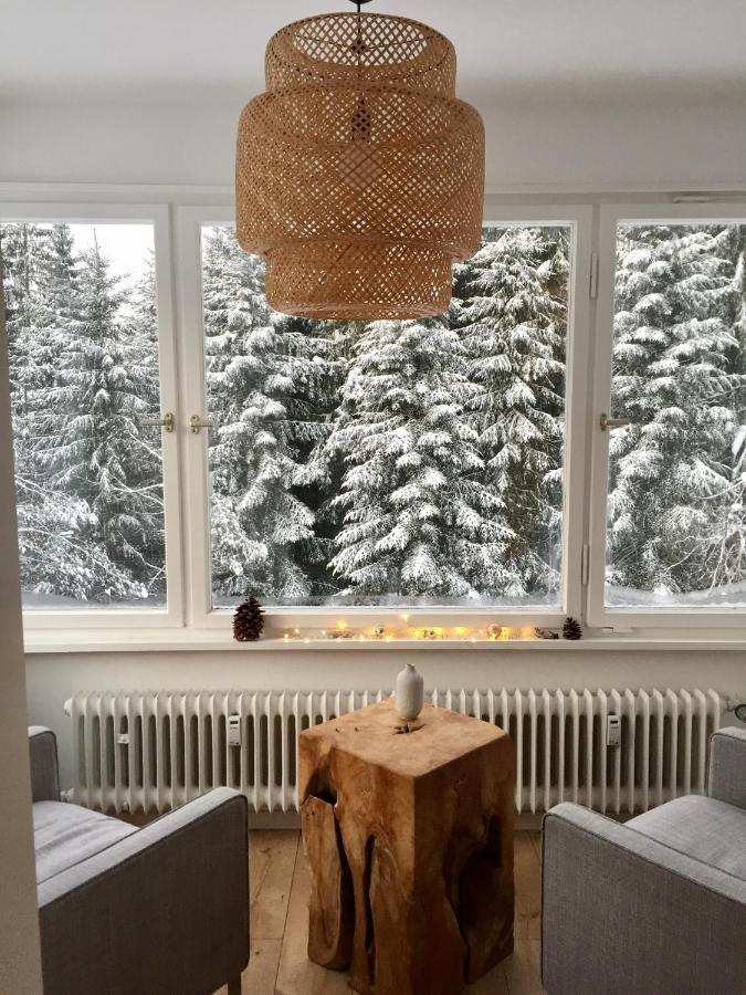 Ferienwohnung Boerner Kniebis Zewnętrze zdjęcie