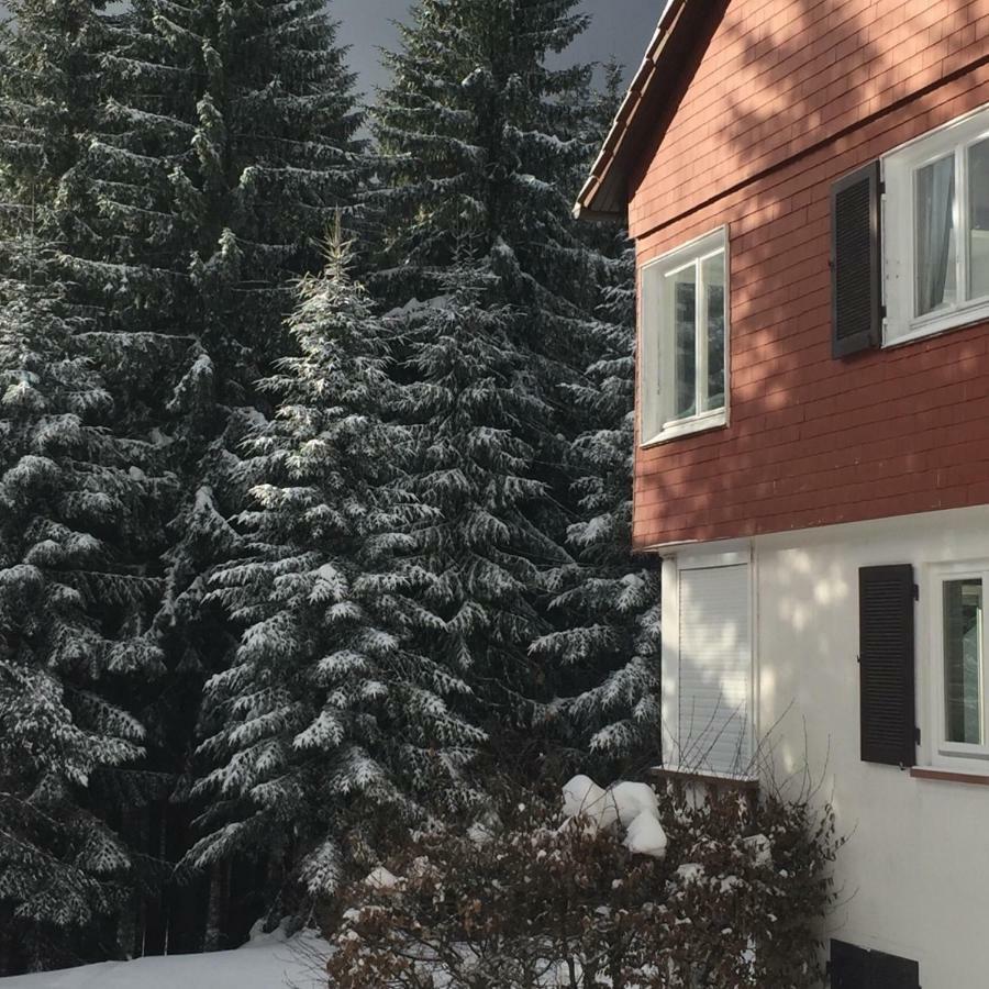 Ferienwohnung Boerner Kniebis Zewnętrze zdjęcie