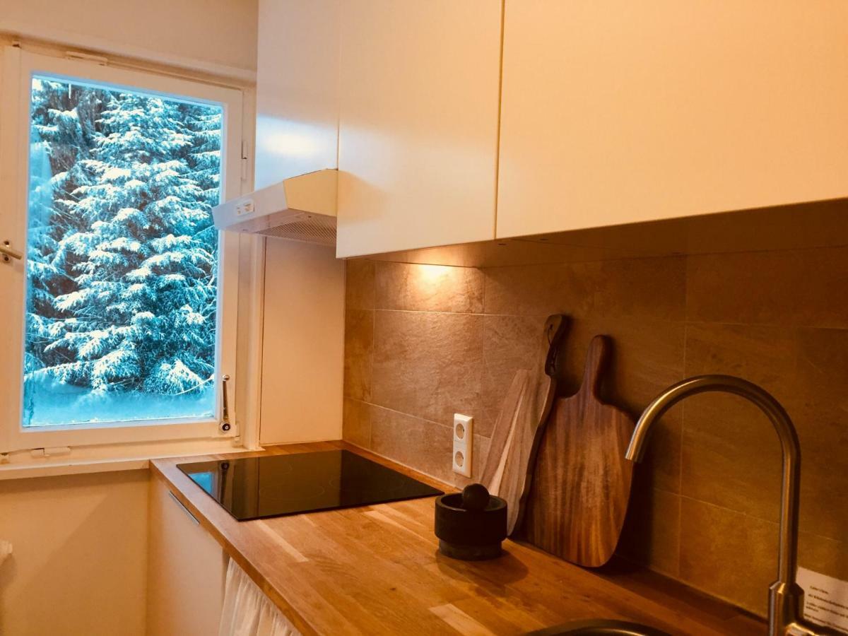 Ferienwohnung Boerner Kniebis Zewnętrze zdjęcie